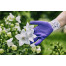 GEBOL Flower Lila z&aacute;hradn&iacute;cke rukavice fialov&eacute; veľ.7/M